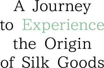 A Journey to Experience the Origin of Silk Goods